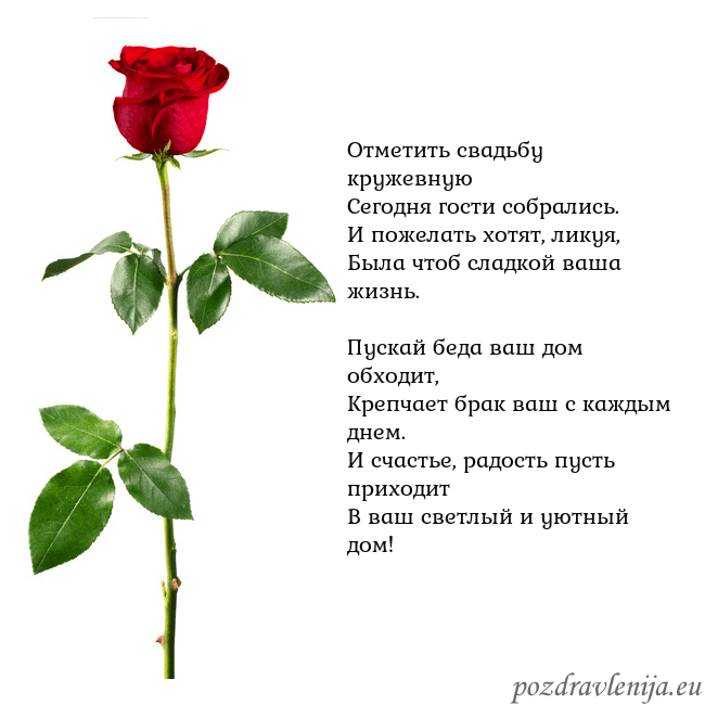 Открытка с красной розой Отметить свадьбу кружевную
Сегодня гости собралис Открытка с красной розой