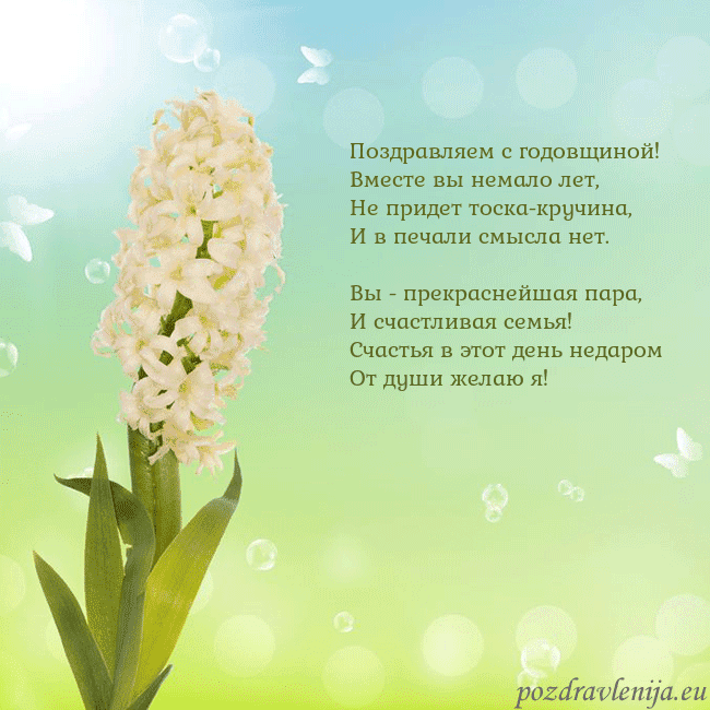 Открытка с гиацинтом Поздравляем с годовщиной!
Вместе вы немало лет,
Не Открытка с гиацинтом