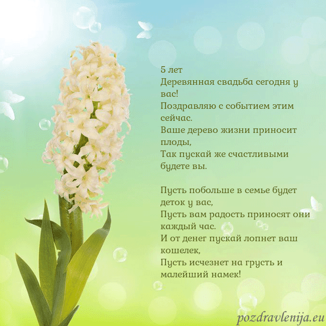 Открытка с гиацинтом 5 лет
Деревянная свадьба сегодня у вас!
Поздравляю Открытка с гиацинтом