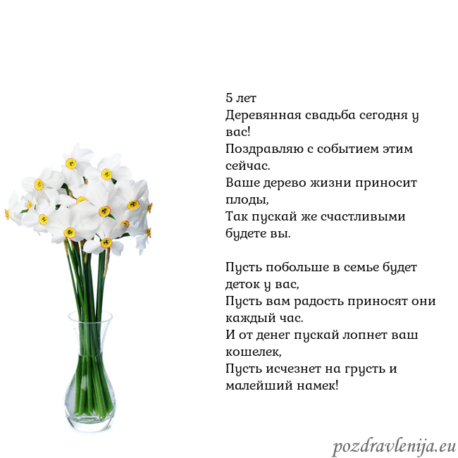 Открытка с нарциссами 5 лет
Деревянная свадьба сегодня у вас!
Поздравляю Открытка с нарциссами