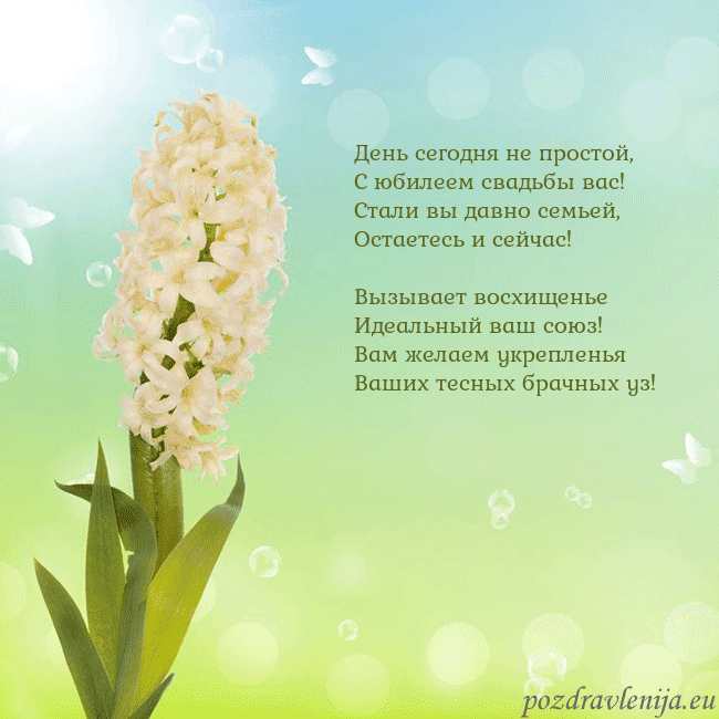 Открытка с гиацинтом День сегодня не простой,
С юбилеем свадьбы вас!
Ст Открытка с гиацинтом