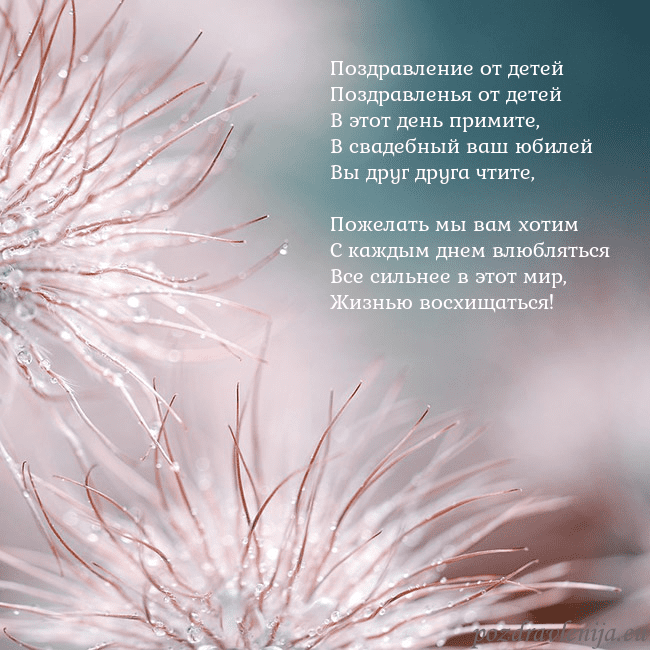 Открытка с пушистыми растениями Поздравление от детей
Поздравленья от детей
В этот Открытка с пушистыми растениями