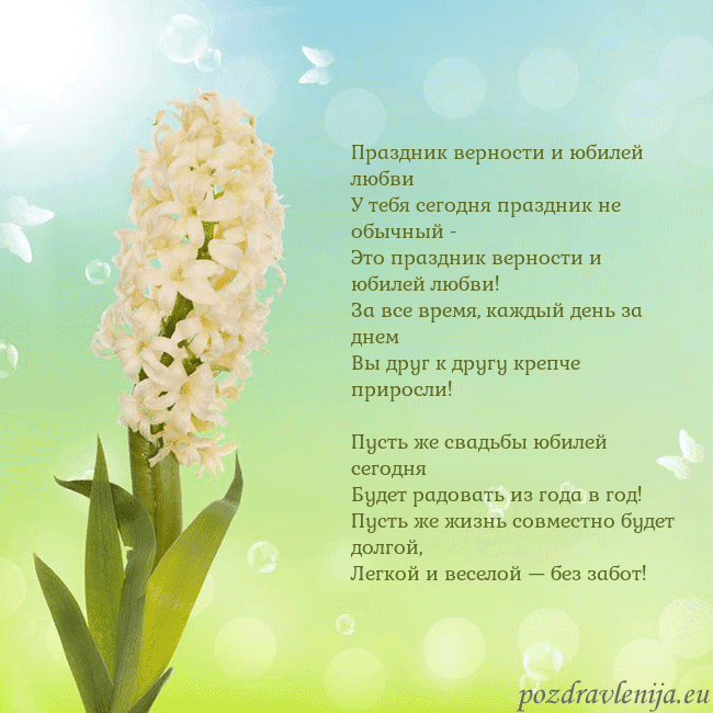 Открытка с гиацинтом Праздник верности и юбилей любви
У тебя сегодня пр Открытка с гиацинтом