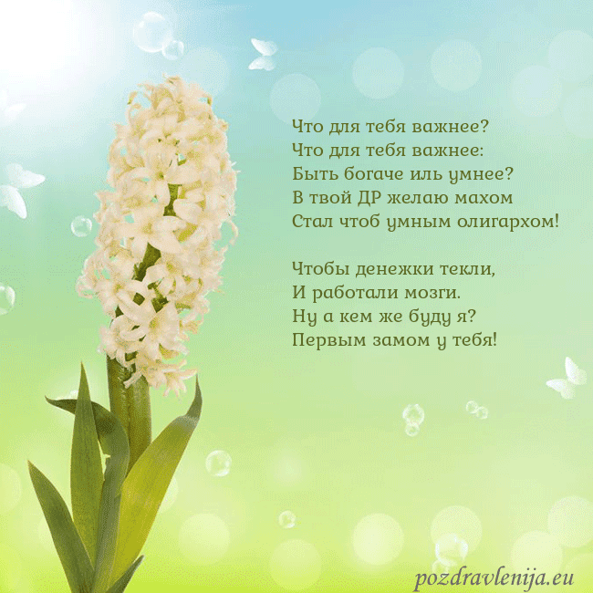 Открытка с гиацинтом