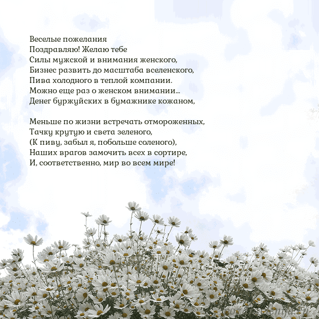 Открытка с ромашками