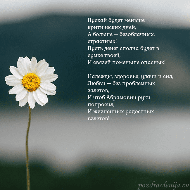 Электронная открытка с ромашкой