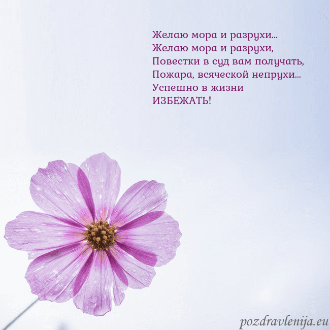 Электронная открытка с фиолетовым цветком