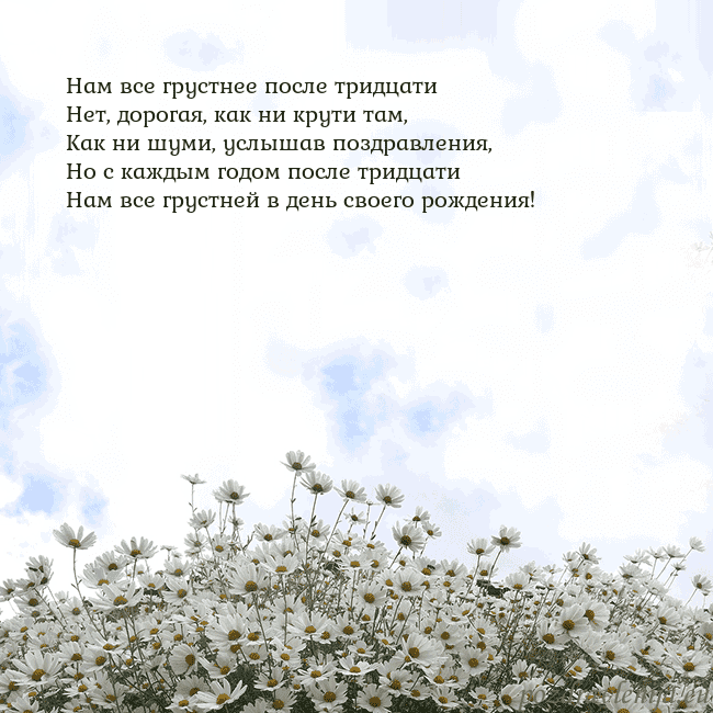 Открытка с ромашками