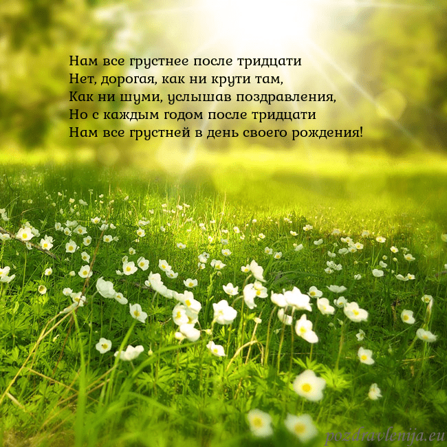 Электронная открытка с утопающим в солнечном свете лугом