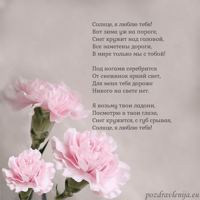Открытка с розовыми гвоздиками Солнце, я люблю тебя!
Вот зима уж на пороге,
Снег Открытка с розовыми гвоздиками