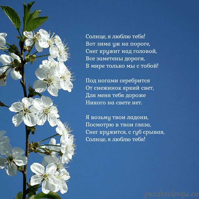 Открытка с весенними цветами Солнце, я люблю тебя!
Вот зима уж на пороге,
Снег Открытка с весенними цветами