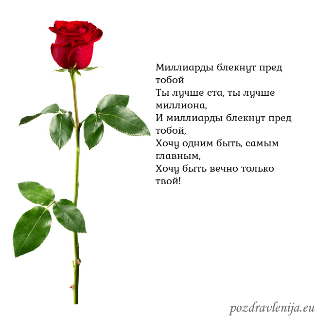 Открытка с красной розой Миллиарды блекнут пред тобой
Ты лучше ста, ты лучш Открытка с красной розой