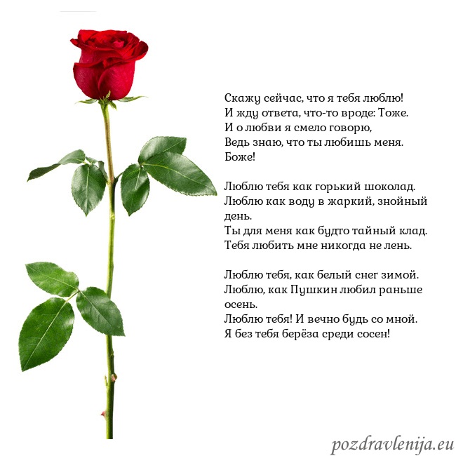 Открытка с красной розой Скажу сейчас, что я тебя люблю!
И жду ответа, что- Открытка с красной розой