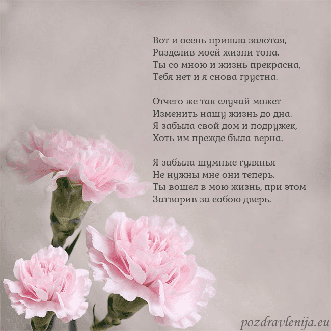 Открытка с розовыми гвоздиками Вот и осень пришла золотая,
Разделив моей жизни то Открытка с розовыми гвоздиками