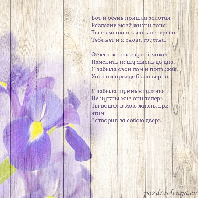 Открытка с ирисами Вот и осень пришла золотая,
Разделив моей жизни то Открытка с ирисами