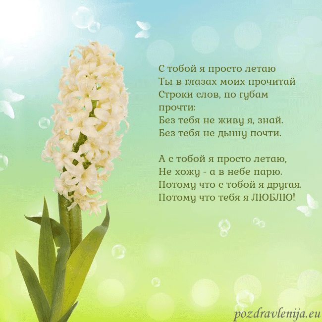 Открытка с гиацинтом С тобой я просто летаю
Ты в глазах моих прочитай
С Открытка с гиацинтом