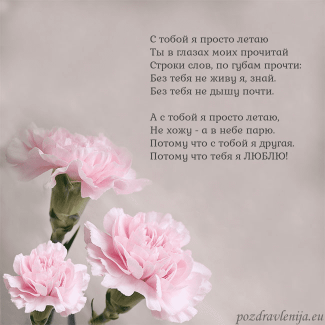 Открытка с розовыми гвоздиками С тобой я просто летаю
Ты в глазах моих прочитай
С Открытка с розовыми гвоздиками