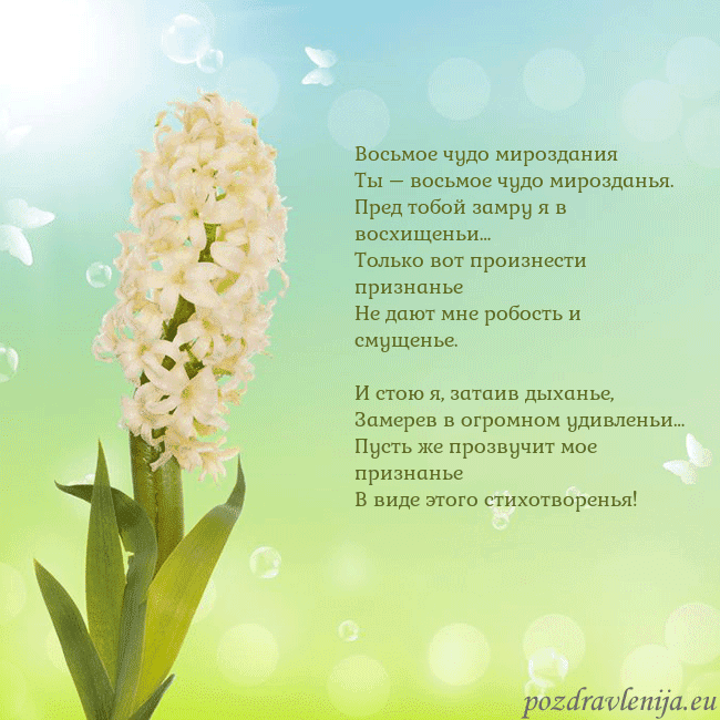 Открытка с гиацинтом Восьмое чудо мироздания
Ты – восьмое чудо мироздан Открытка с гиацинтом