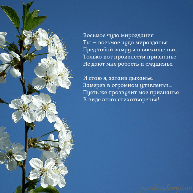 Открытка с весенними цветами Восьмое чудо мироздания
Ты – восьмое чудо мироздан Открытка с весенними цветами