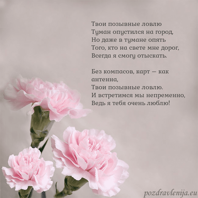 Открытка с розовыми гвоздиками Твои позывные ловлю
Туман опустился на город,
Но д Открытка с розовыми гвоздиками