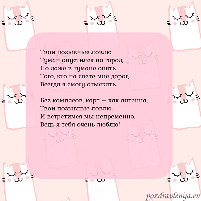Розовая открытка с забавными кошками Твои позывные ловлю
Туман опустился на город,
Но д Розовая открытка с забавными кошками
