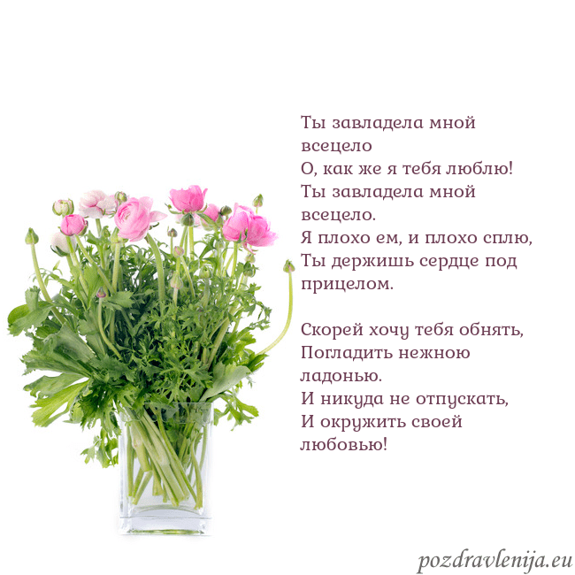 Открытка с цветами в вазе Ты завладела мной всецело
О, как же я тебя люблю!
Открытка с цветами в вазе
