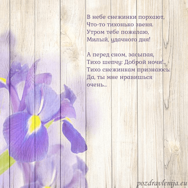 Открытка с ирисами В небе снежинки порхают,
Что-то тихонько звеня.
Ут Открытка с ирисами