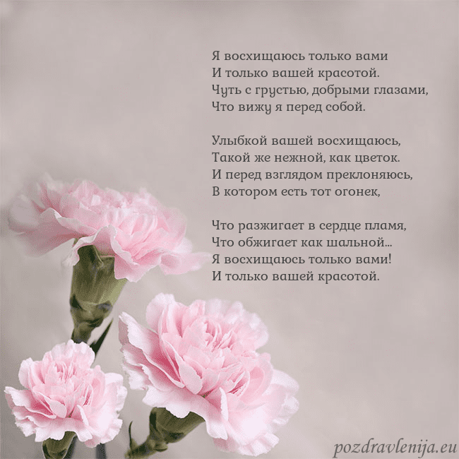 Открытка с розовыми гвоздиками Я восхищаюсь только вами
И только вашей красотой.
Открытка с розовыми гвоздиками