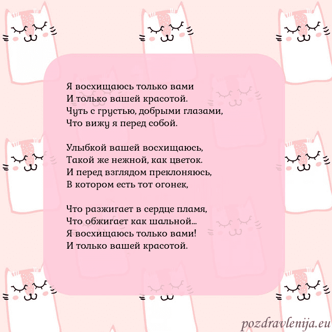 Розовая открытка с забавными кошками Я восхищаюсь только вами
И только вашей красотой.
Розовая открытка с забавными кошками