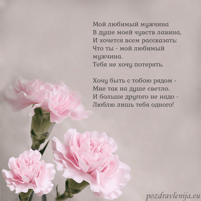 Открытка с розовыми гвоздиками Мой любимый мужчина
В душе моей чувств лавина,
И х Открытка с розовыми гвоздиками