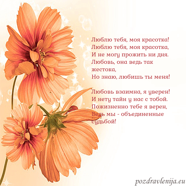 Открытка с оранжевыми цветами Люблю тебя, моя красотка!
Люблю тебя, моя красотка Открытка с оранжевыми цветами