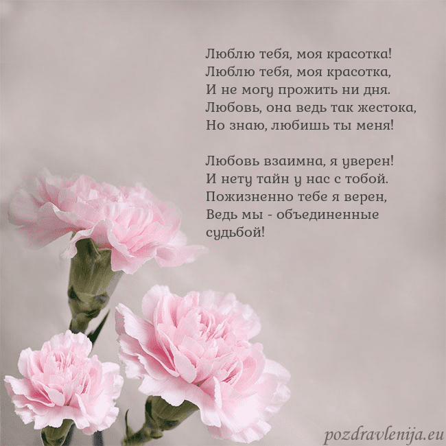 Открытка с розовыми гвоздиками Люблю тебя, моя красотка!
Люблю тебя, моя красотка Открытка с розовыми гвоздиками