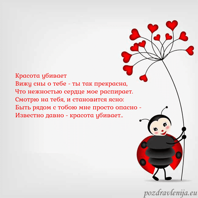 Открытка с божьей коровкой Красота убивает
Вижу сны о тебе - ты так прекрасна Открытка с божьей коровкой