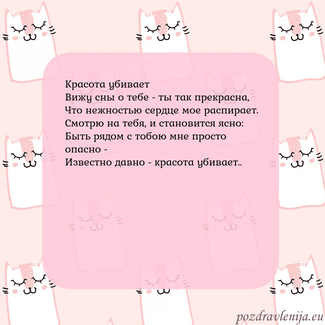 Розовая открытка с забавными кошками Красота убивает
Вижу сны о тебе - ты так прекрасна Розовая открытка с забавными кошками