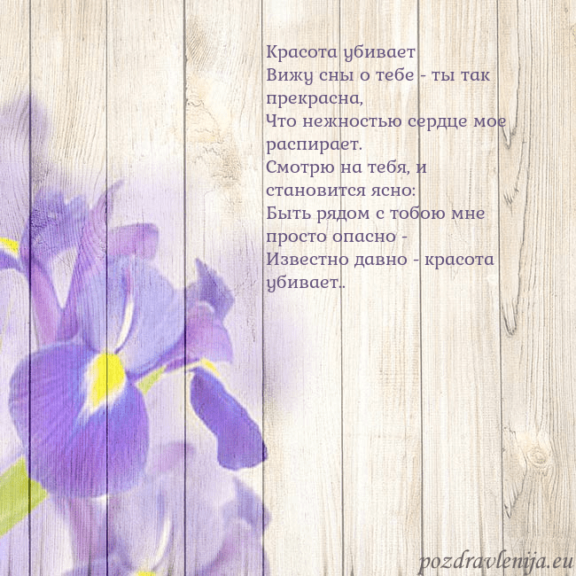 Открытка с ирисами Красота убивает
Вижу сны о тебе - ты так прекрасна Открытка с ирисами
