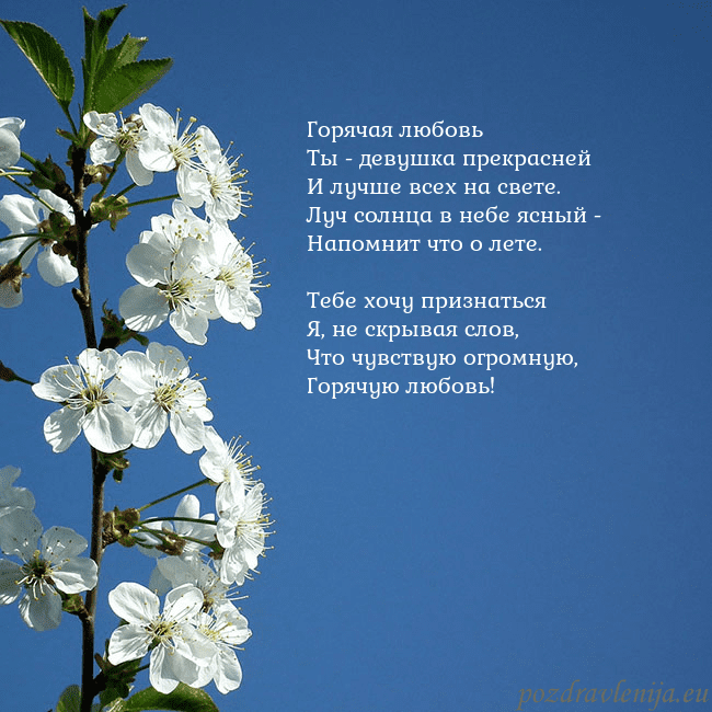 Открытка с весенними цветами Горячая любовь
Ты - девушка прекрасней
И лучше все Открытка с весенними цветами