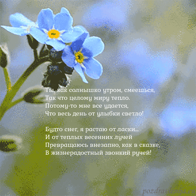 Электронная анимированная открытка с незабудками Ты, как солнышко утром, смеешься,
Так что целому м Электронная анимированная открытка с незабудками