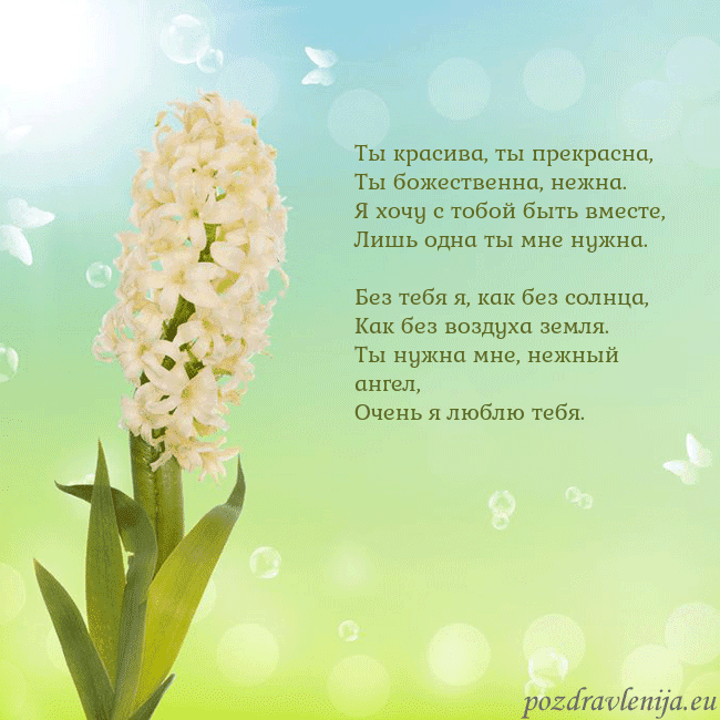 Открытка с гиацинтом Ты красива, ты прекрасна,
Ты божественна, нежна.
Я Открытка с гиацинтом