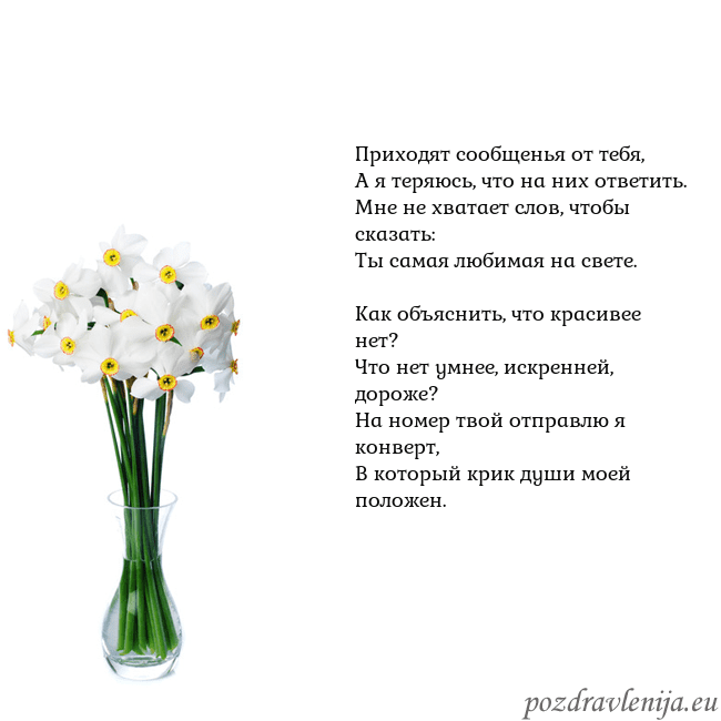 Открытка с нарциссами Приходят сообщенья от тебя,
А я теряюсь, что на ни Открытка с нарциссами
