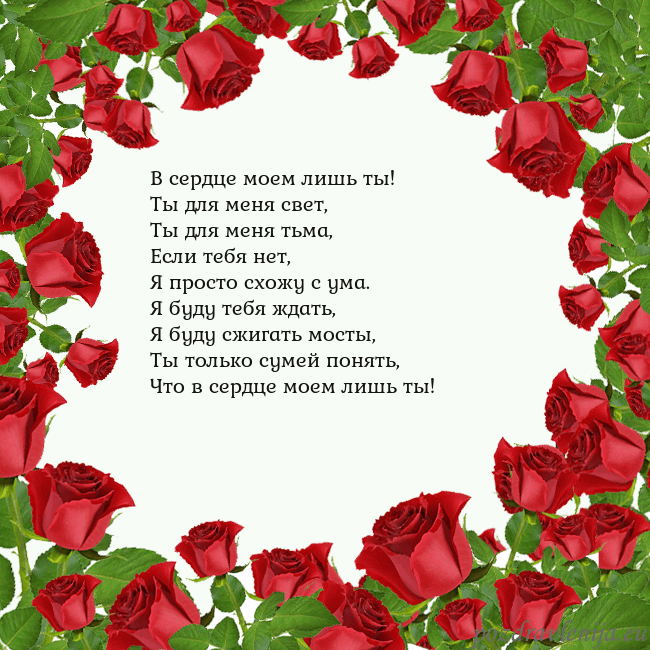 Открытка с красными розами В сердце моем лишь ты!
Ты для меня свет,
Ты для ме Открытка с красными розами