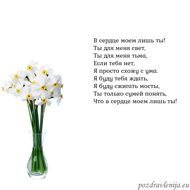 Открытка с нарциссами В сердце моем лишь ты!
Ты для меня свет,
Ты для ме Открытка с нарциссами