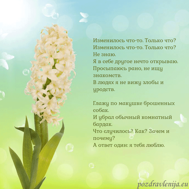 Открытка с гиацинтом Изменилось что-то. Только что?
Изменилось что-то. Открытка с гиацинтом