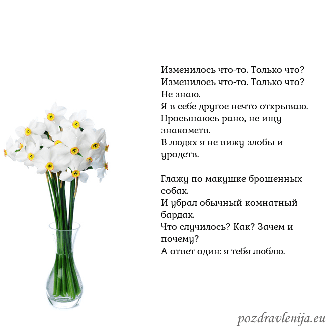 Открытка с нарциссами Изменилось что-то. Только что?
Изменилось что-то. Открытка с нарциссами