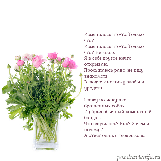 Открытка с цветами в вазе Изменилось что-то. Только что?
Изменилось что-то. Открытка с цветами в вазе