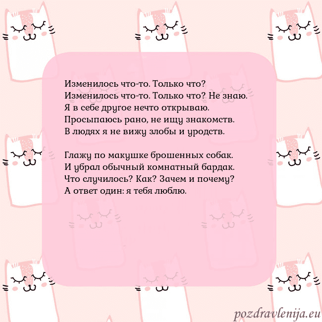 Розовая открытка с забавными кошками Изменилось что-то. Только что?
Изменилось что-то. Розовая открытка с забавными кошками