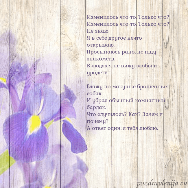 Открытка с ирисами Изменилось что-то. Только что?
Изменилось что-то. Открытка с ирисами
