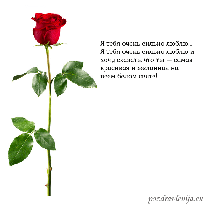 Открытка с красной розой Я тебя очень сильно люблю...
Я тебя очень сильно л Открытка с красной розой