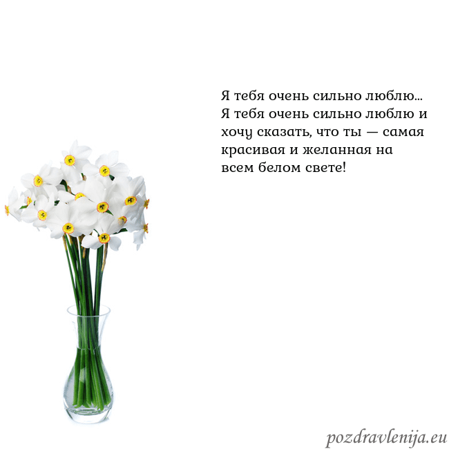 Открытка с нарциссами Я тебя очень сильно люблю...
Я тебя очень сильно л Открытка с нарциссами