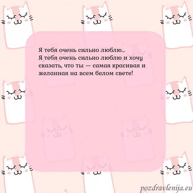 Розовая открытка с забавными кошками Я тебя очень сильно люблю...
Я тебя очень сильно л Розовая открытка с забавными кошками