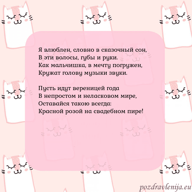 Розовая открытка с забавными кошками Я влюблен, словно в сказочный сон,
В эти волосы, г Розовая открытка с забавными кошками